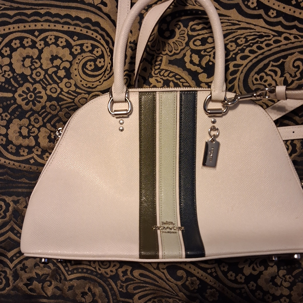 Coach Bag  White, Blue, Green